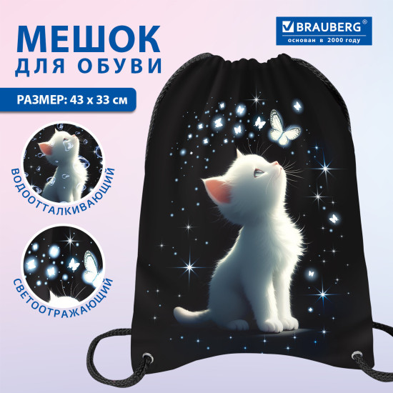 Мешок для обуви