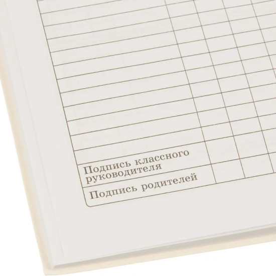 Дневник школьный