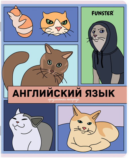 Комплект тетрадей «Мемные коты»