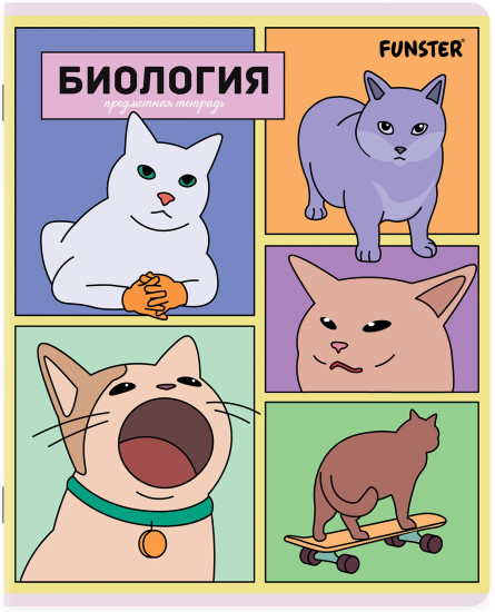 Комплект тетрадей «Мемные коты»