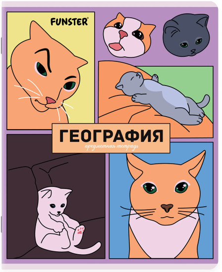Комплект тетрадей «Мемные коты»