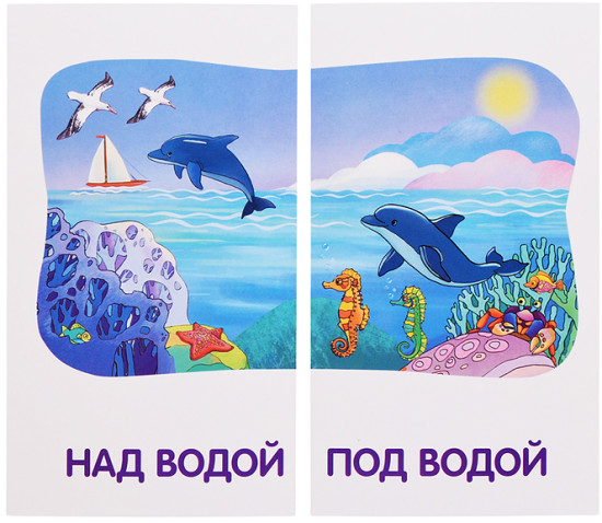 Занимательные карточки. Дошкольное обучение 1. Мяу-гав. Противоположности