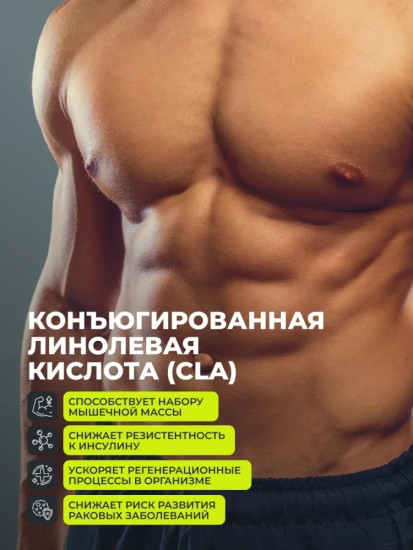 Жиросжигатель «Fat Burner Day дневной с CLA»