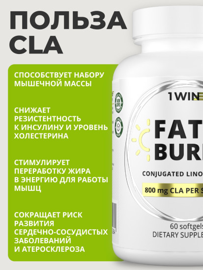 Жиросжигатель Fat Burner Day