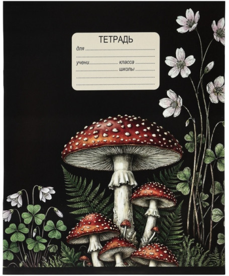 Набор тетрадей «Грибы»