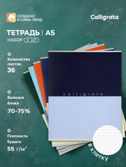 Набор тетрадей «Биколор» - Фото 1