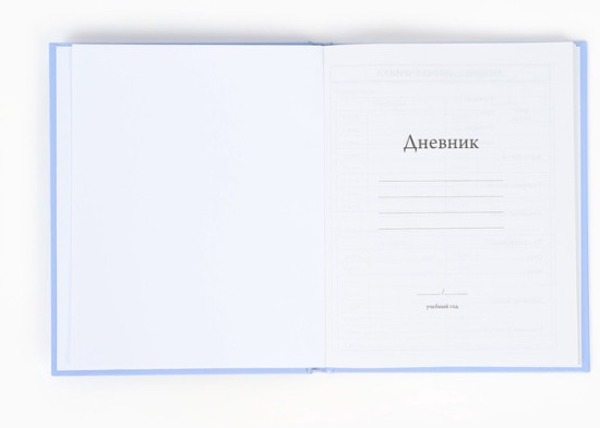 Дневник школьный