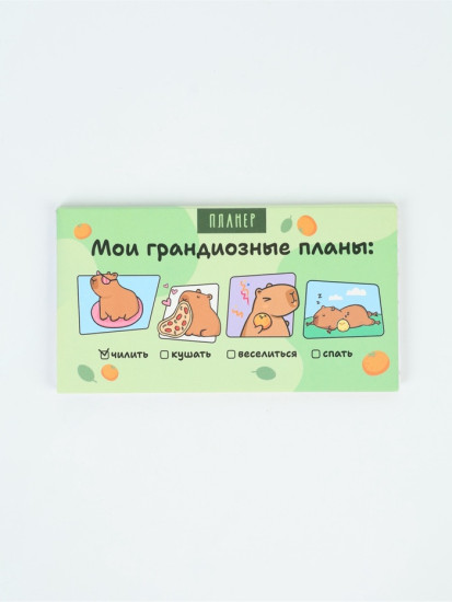 Планер с отрывными листами «Капибары»