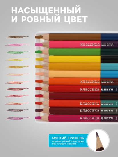 Набор карандашей цветных