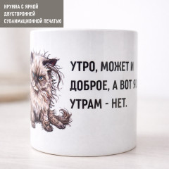 Кружка керамическая Утро может и доброе Сердитый кот 330 мл - Фото 2