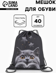 Мешок для обуви «Котик» - Фото 1