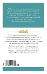 Дубровский - Фото 2