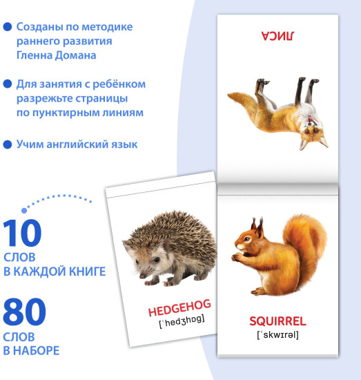 Карточки Домана на английском языке», набор 8 шт. по 24 стр.