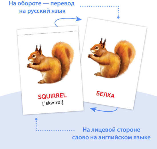 Карточки Домана на английском языке», набор 8 шт. по 24 стр.