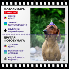 Фотобумага - Фото 8