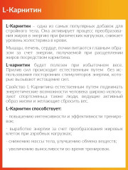 Л-карнитин «L-Carnitine» - Фото 2