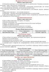 Биология 5-7 классы. Основные термины, понятия и определения: комплект из 4 карт для подготовки к контрольным работам, экзаменам - Фото 6