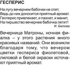 Двулетние садовые цветы. 12 развивающих карточек с красочными картинками, стихами и загадками для занятий с детьми - Фото 4