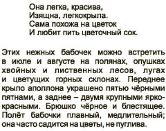 Главные правила. Литературное чтение. Малые жанры фольклора. 1-4 классы. 12 обучающих карточек - Фото 2