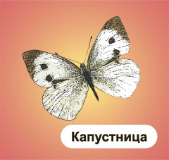 Главные правила. Литературное чтение. Малые жанры фольклора. 1-4 классы. 12 обучающих карточек - Фото 5