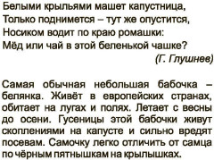 Главные правила. Литературное чтение. Малые жанры фольклора. 1-4 классы. 12 обучающих карточек - Фото 6