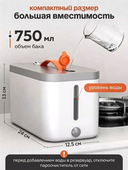 Пароочиститель QX-001 белый