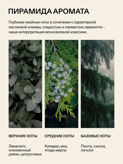 Ароматическая свеча из соевого воска Кипарис и клюква