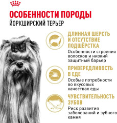Сухой корм для взрослых собак породы йоркширский терьер Yorkshire Terrier - Фото 2