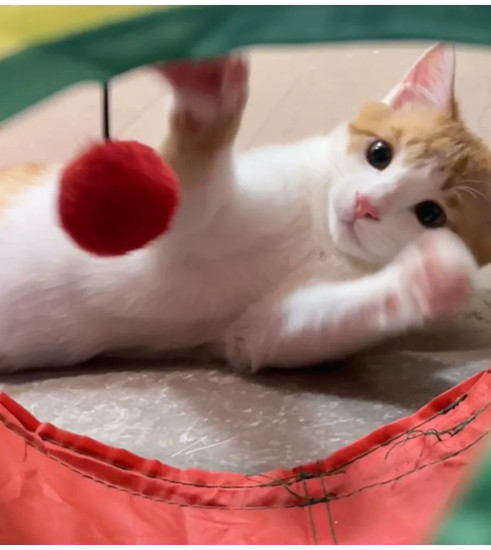 Игрушка для кошек тоннель(прямая версия)