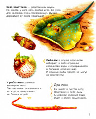 Энциклопедия дошкольника. Океаны и моря - Фото 2