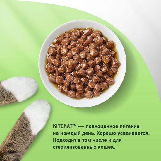 Корм для кошек «Белая рыба в желе»