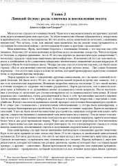 Еда и мозг. Что углеводы делают со здоровьем, мышлением и памятью - Фото 4