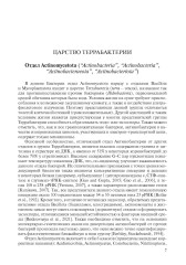 Медицинская Микробиология. Клинически значимые микроорганизмы с позиции современной таксономии. Том 2 - Фото 7