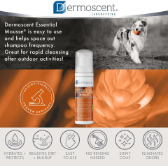 Мусс для сухой чистки шерсти собак «Essential Mousse» - Фото 7