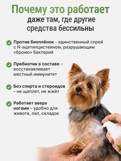 Антимикробный спрей при кожных инфекциях у собак и кошек «PYOclean Spray»