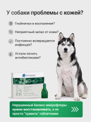 Капли на холку для собак 20-40 кг при дерматите, зуде и кожных инфекциях «PYOspot» - Фото 1