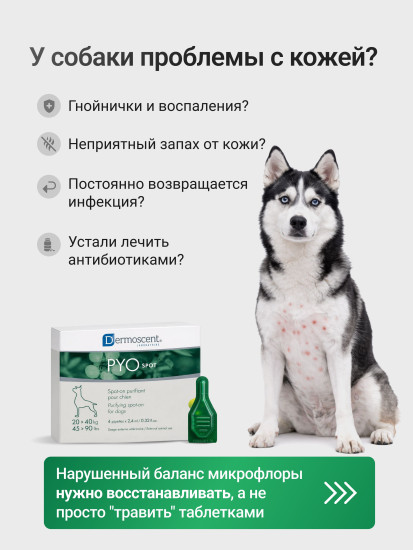 Капли на холку для собак 20-40 кг при дерматите, зуде и кожных инфекциях «PYOspot»