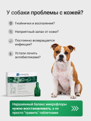 Капли на холку для собак 10-20 кг при дерматите, зуде и кожных инфекциях «PYOspot» - Фото 1
