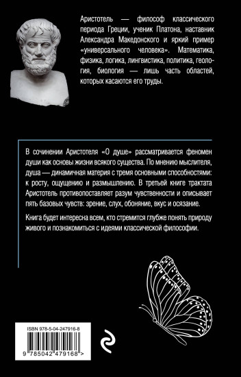 О душе