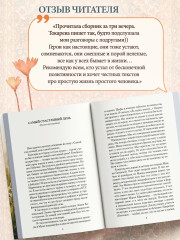 Кошка на дороге - Фото 5