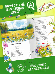 Летнее чтение. 2-3 классы - Фото 4