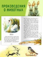 Летнее чтение. 2-3 классы - Фото 14