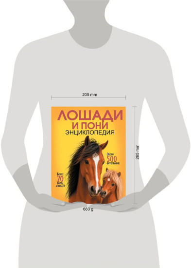 Лошади и пони