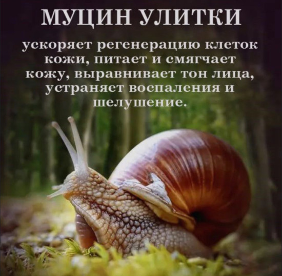 Восстанавливающий и увлажняющий гель для лица и шеи с улиткой