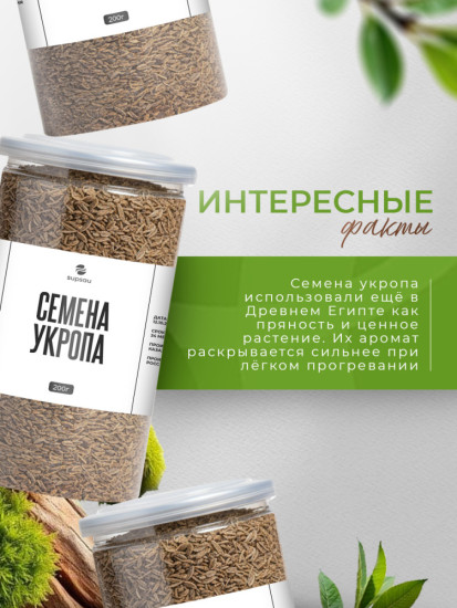 Семена укропа