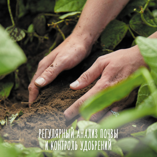 Пюре фруктовое «Яблоко и банан»