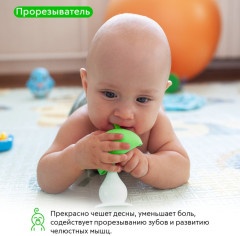Соска грызунок зелёный - Фото 6