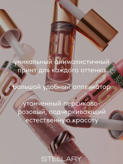 Блеск для губ — Lipgloss Big Lips, тон 04