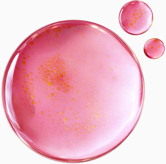 Сыворотка TXA 6 Niacinamide 10 Retinal