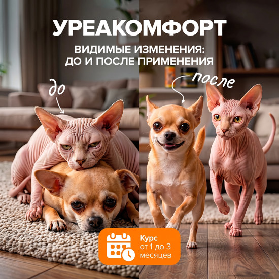 Pet’s health Уреакомфорт добавка в корм для здоровья почек у кошек и собак